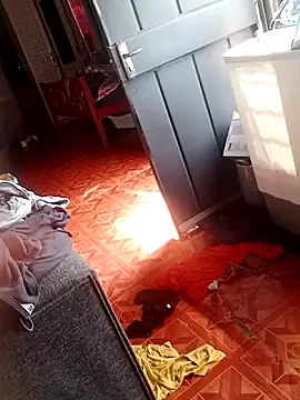 2soyte online show from September 26, 8:23 am