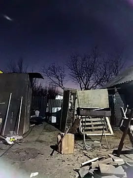 sarpe4 online show from December 19, 3:20 pm