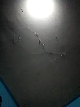 Bwc4u2Ride online show from February 10, 12:43 pm