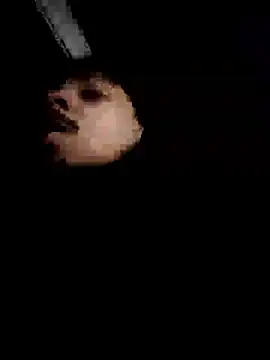 bigdickjojo69 online show from January 15, 12:20 pm