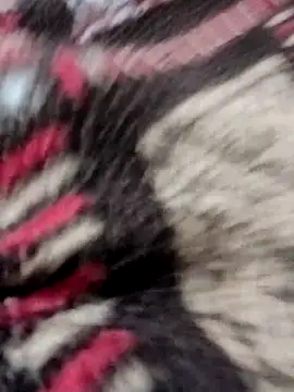 indianSmartboy online show from November 10, 6:35 pm