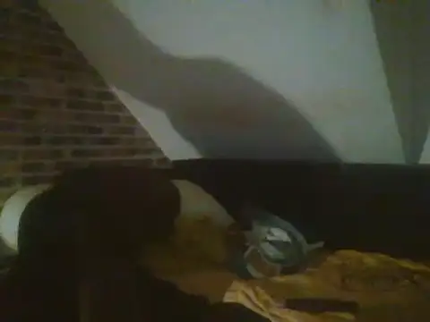 InMeinenMund online show from December 15, 3:45 am