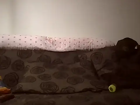 2223joker online show from November 26, 10:57 pm