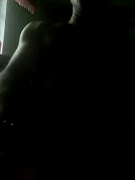 xxxsexy27 online show from July 2, 10:32 am