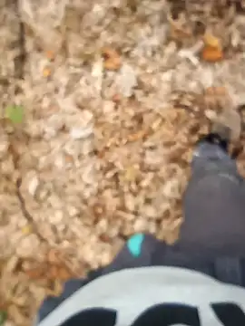 Rolandxxxr online show from October 12, 9:25 am