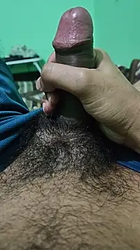 rockyp6 online show from February 10, 2:00 pm