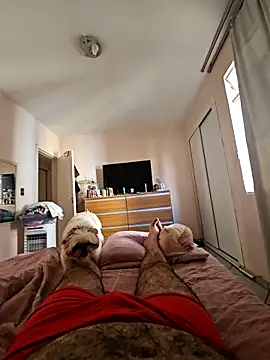 Snapshot of MysterBearMG chatting on March 3, 11:49 am MysterBearMG online show from March 3, 11:49 am