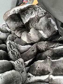 Snapshot of Furdale chatting on October 28, 2:52 pm Furdale online show from October 28, 2:52 pm