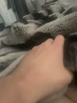 Snapshot of Furdale chatting on December 4, 11:52 am Furdale online show from December 4, 11:52 am