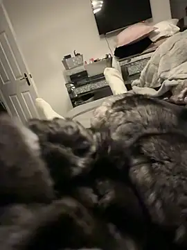 Furdale online show from December 17, 4:13 pm