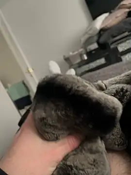 Snapshot of Furdale chatting on February 10, 1:55 pm Furdale online show from February 10, 1:55 pm