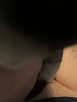 Snapshot of Furdale chatting on December 16, 1:11 pm Furdale online show from December 16, 1:11 pm