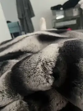 Snapshot of Furdale chatting on December 18, 11:56 am Furdale online show from December 18, 11:56 am