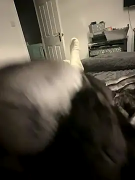 Furdale online show from November 12, 6:02 pm