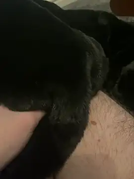 Snapshot of Furdale chatting on December 9, 5:46 pm Furdale online show from December 9, 5:46 pm