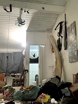 raphadoors19 online show from November 25, 7:10 am