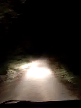 Snapshot of pedrosantos3366 chatting on September 20, 9:37 pm pedrosantos3366 online show from September 20, 9:37 pm