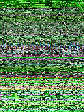 LongDMan420 online show from February 15, 1:16 pm