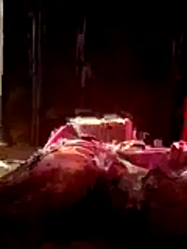 Bibikami online show from February 10, 3:00 am