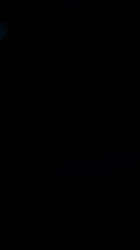 DauergeilMD online show from January 25, 1:43 am