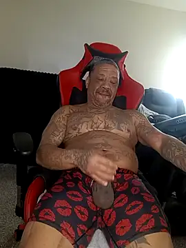 yellowwetfox online show from February 11, 4:45 pm