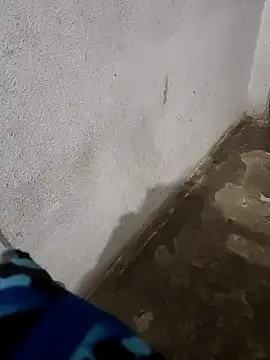 hariomo online show from November 28, 5:59 pm