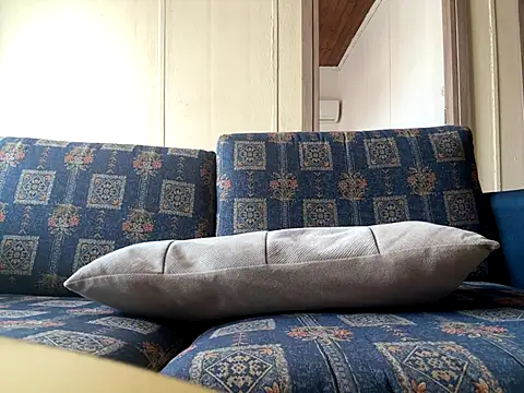 dk2995 online show from October 10, 12:43 pm