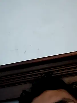 A-20jose online show from March 16, 1:04 pm