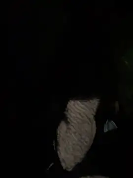 prekumstud online show from April 23, 4:09 pm