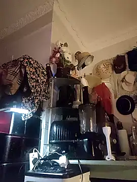 erbod Johnny online show from November 4, 6:58 am