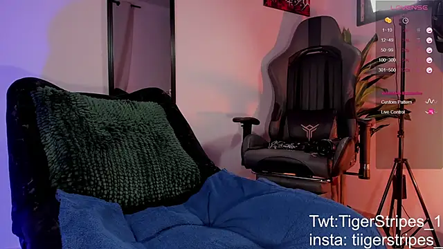 TigerStripes1  online show from March 28, 11:32 am